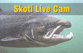 LIVE-CAMERA SKOTIHØLEN